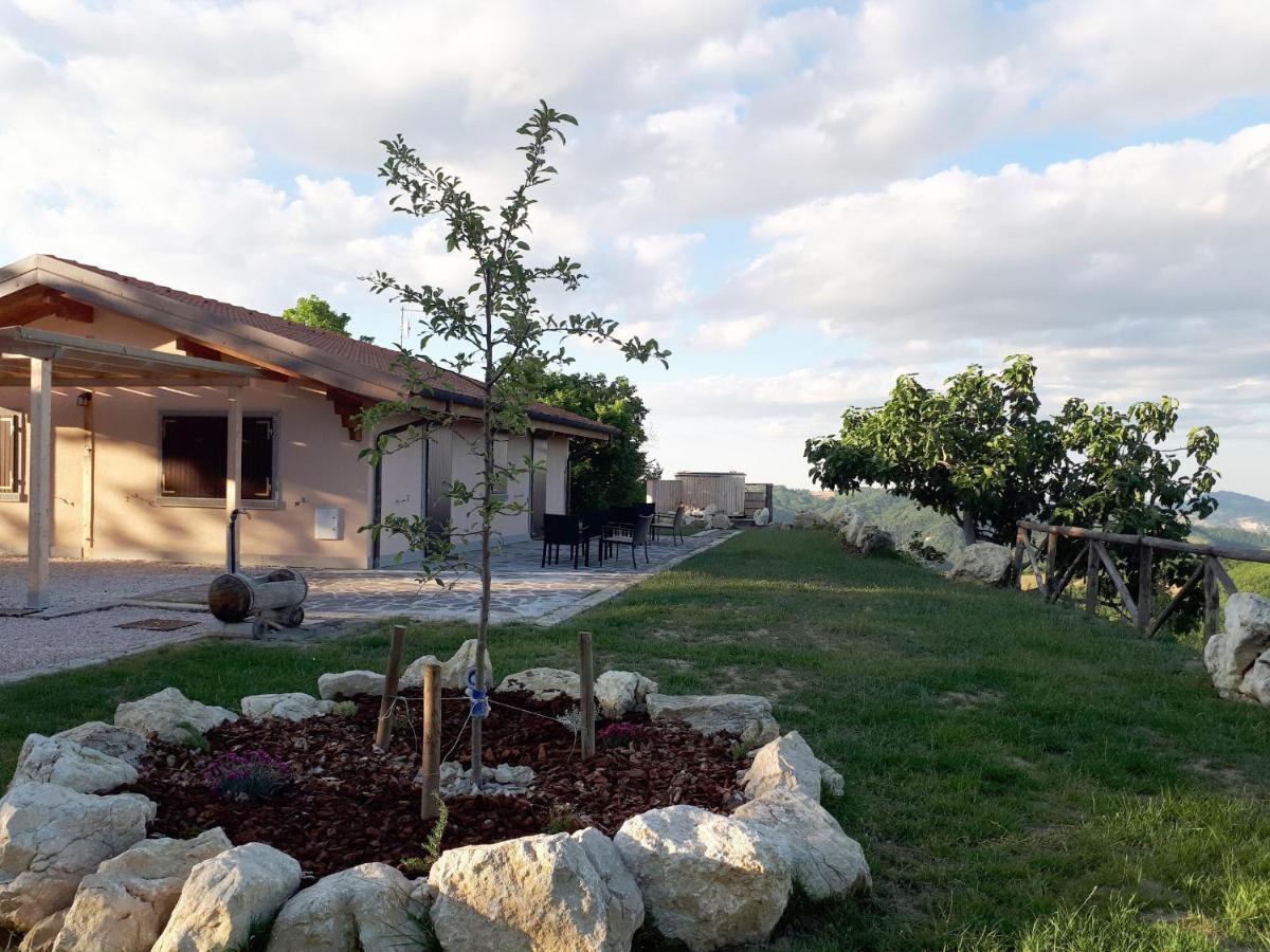 Agriturismo Il Pagliaio Mercato Saraceno المظهر الخارجي الصورة