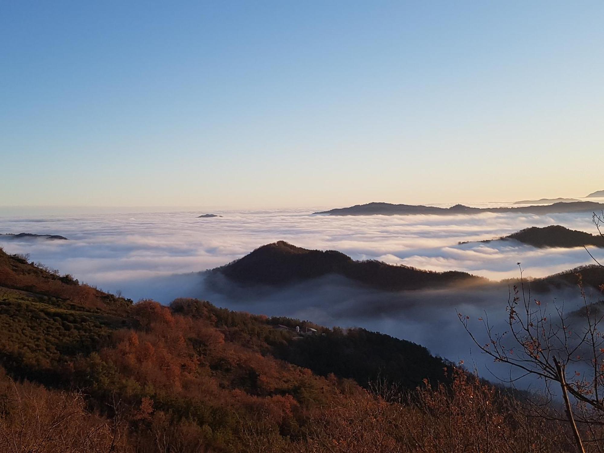 Agriturismo Il Pagliaio Mercato Saraceno المظهر الخارجي الصورة
