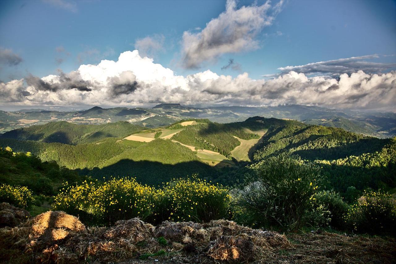 Agriturismo Il Pagliaio Mercato Saraceno المظهر الخارجي الصورة